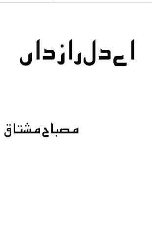 Ae Dil e Razdan Urdu Novel 2