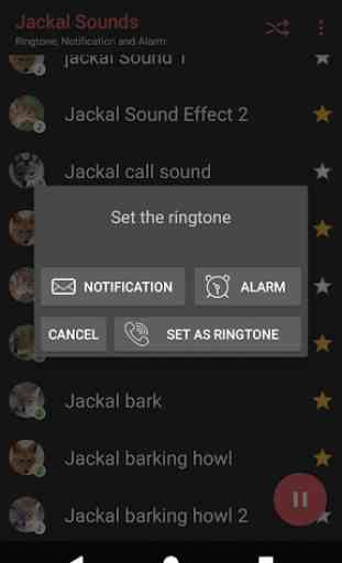 Appp.io - Jackal Sounds 4