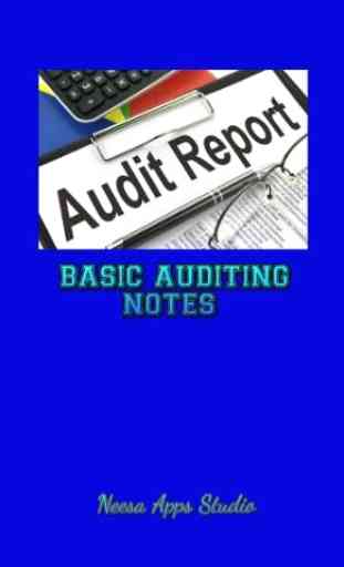 Basic Auditing Notes 1