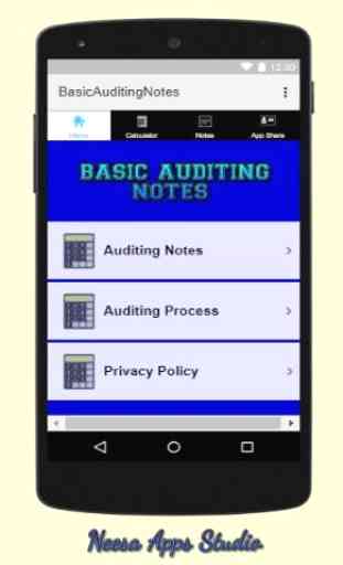 Basic Auditing Notes 3