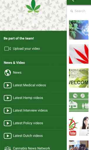 Cannabis News Network 2