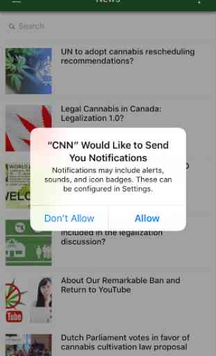 Cannabis News Network 4