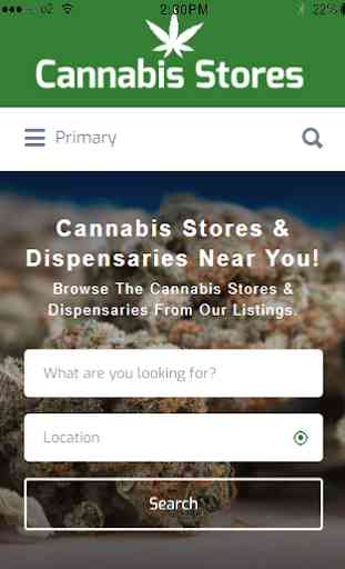 Cannabis Stores 1