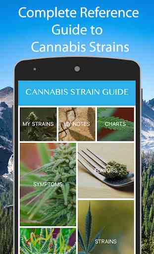 Cannabis Strain Guide 1