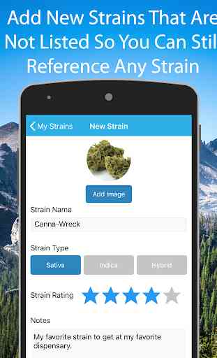 Cannabis Strain Guide 3