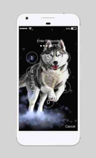 Husky ART Pet Dog Pup Wallpapers HD PIN Lock 2