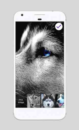 Husky ART Pet Dog Pup Wallpapers HD PIN Lock 3
