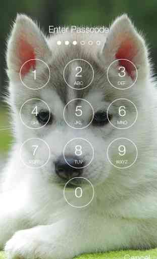 Husky Puppy HD Free PIN Lock 2