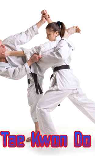 Learning Taekwondo TKF Techniques 1