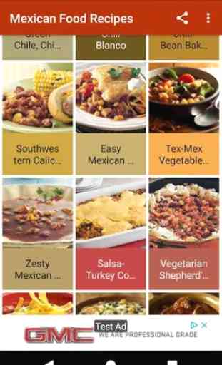 Mexican Food Recipes 4