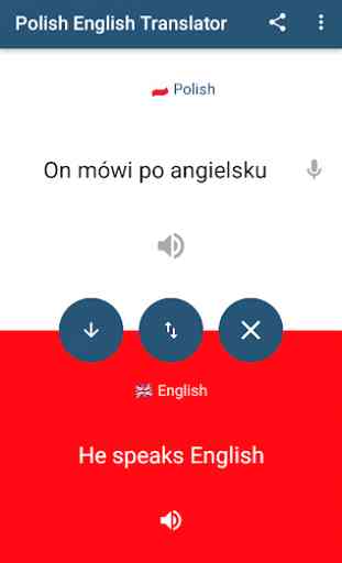 Polish English Translator 4