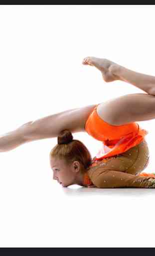 Rhythmic and Artistic Gymnastics. Exercises 2