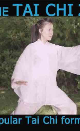Tai Chi for Beginners 24 Form (YMAA) Helen Liang 2