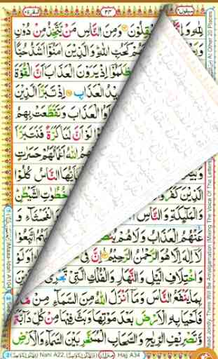 The Holy Quran 4