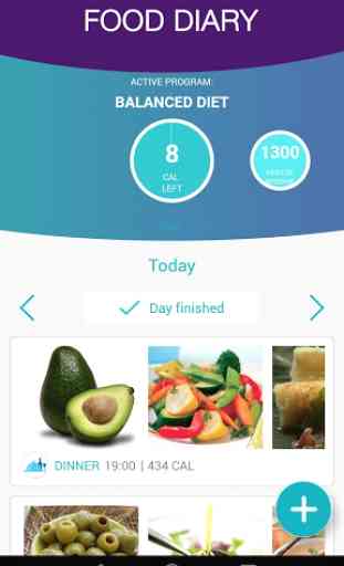 DietSensor - Diet App 1