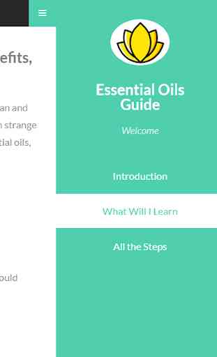 Essential Oils Guide Free 2