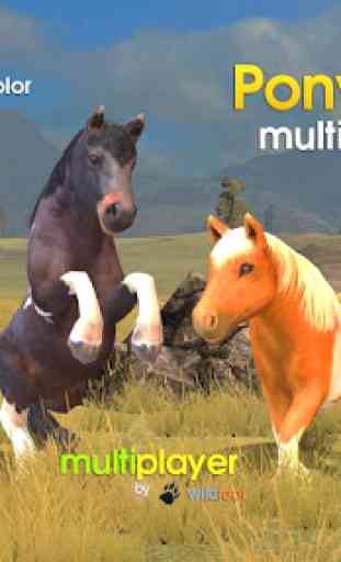 Pony Multiplayer 1