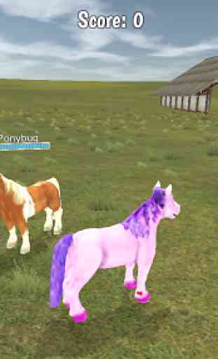 Pony Multiplayer 3
