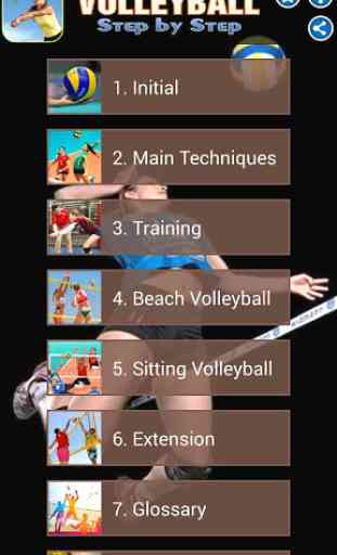 Volleyball SbS 1
