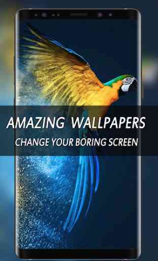Wallpapers HD|4K Wallpaper|10000 Wallpaper AMOLED 1