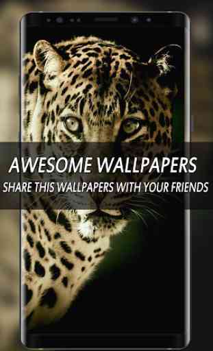 Wallpapers HD|4K Wallpaper|10000 Wallpaper AMOLED 2