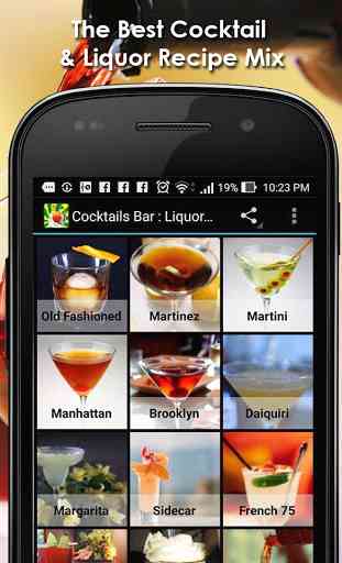 Cocktails Bar & Liquor Recipes 1