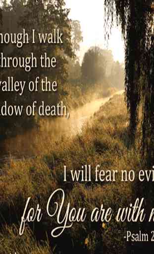 Comforting Bible Verses About Death 4