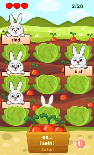Learn German Verbs Forms: Rabbit Grammar Game 4