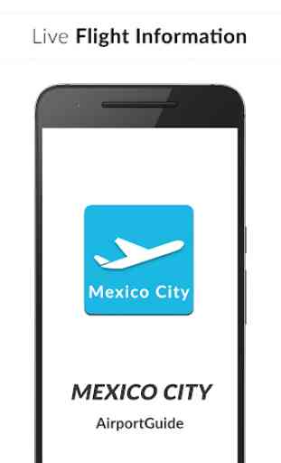 Mexico City Airport Guide - Flight information MEX 1
