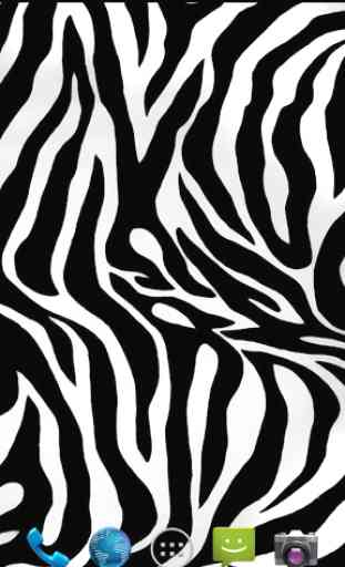 Zebra Print Wallpapers 2
