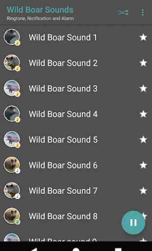 Appp.io - Wild Boar Sounds 1
