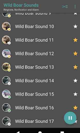 Appp.io - Wild Boar Sounds 2