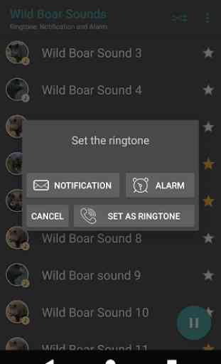 Appp.io - Wild Boar Sounds 3