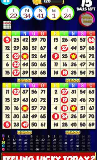 Bingo: New Free Cards Game Vegas and Casino Feel 1