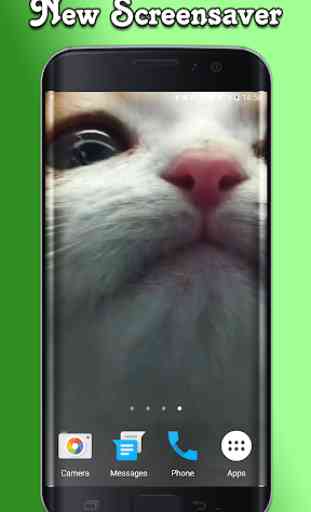 Cat Lick Screen Live Wallpaper 3