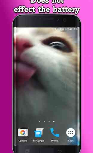 Cat Lick Screen Live Wallpaper 4