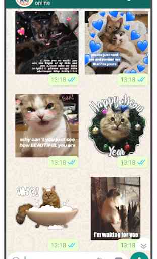 Cat Stickers WAStickerApps cat memes funny 3