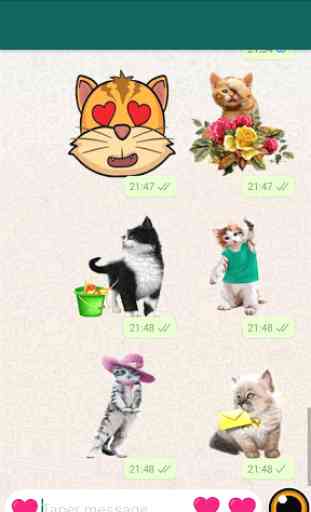 Cats stickers for Chat - WAStickerApps 2