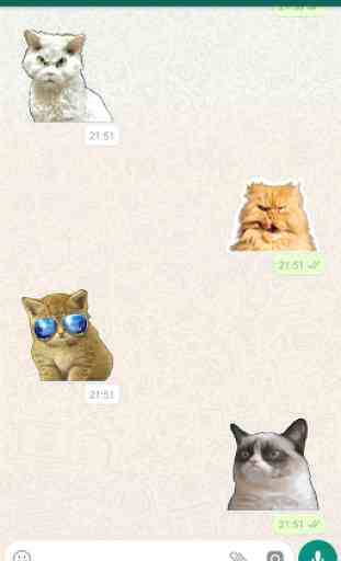 Cool Cats Stickers for WhatsApp (WAStickerApps) 2