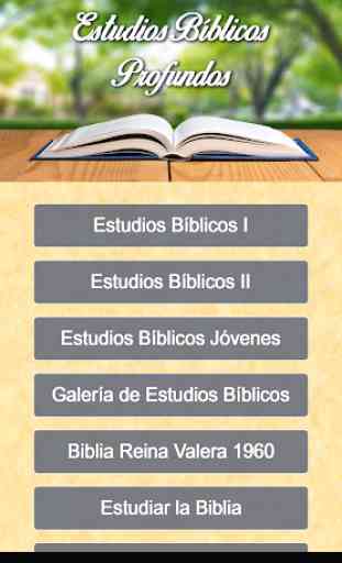 Estudios Bíblicos Profundos 1