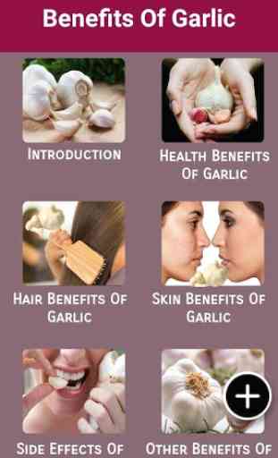 Health Benefits Of Garlic 2
