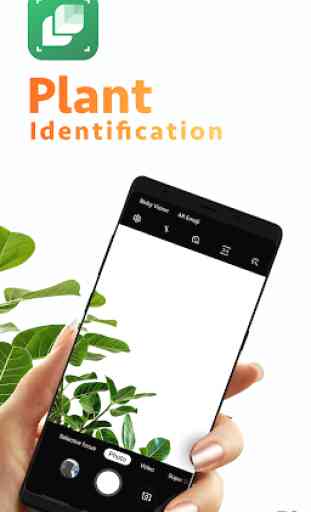 LeafSnap - Plant Identification 1
