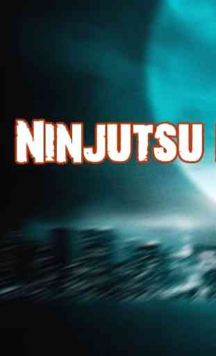 Ninjutsu 1