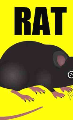 Rat Sounds Rat Sound Effects 1
