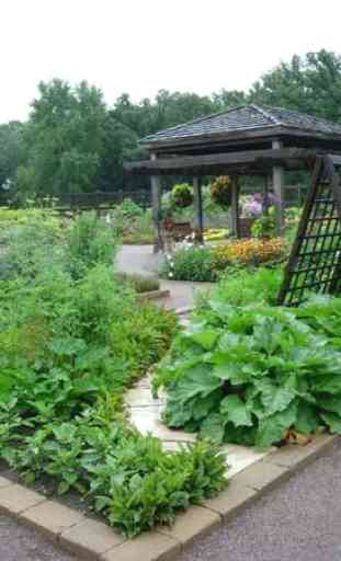 Vegetable Garden Ideas 1