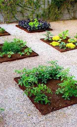 Vegetable Garden Ideas 4