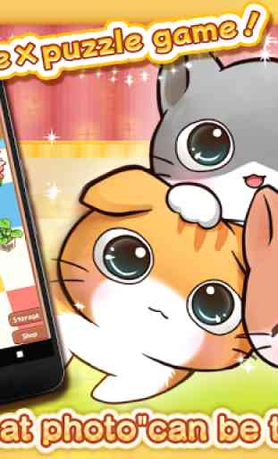 CatDays Cute Kitty Care Games 1