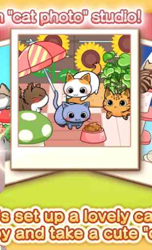 CatDays Cute Kitty Care Games 3