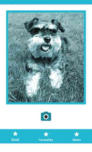 Dog Care Encyclopedia 1