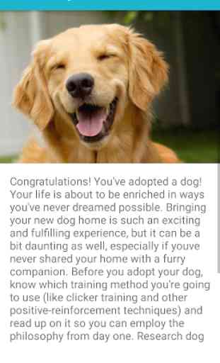 Dog Care Encyclopedia 3